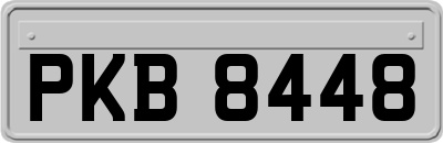 PKB8448