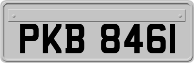 PKB8461