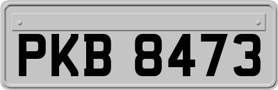 PKB8473