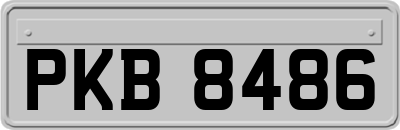 PKB8486