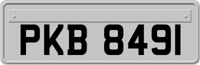 PKB8491
