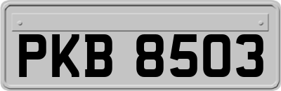 PKB8503