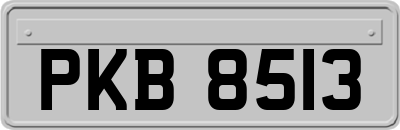 PKB8513