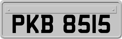 PKB8515