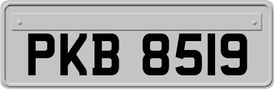 PKB8519