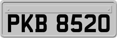 PKB8520