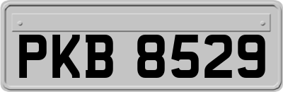 PKB8529