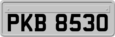 PKB8530