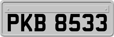 PKB8533