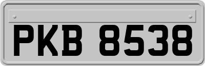 PKB8538