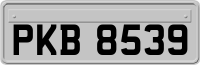 PKB8539