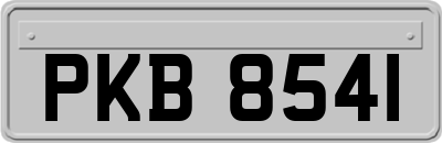 PKB8541