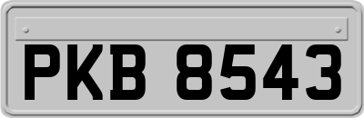 PKB8543