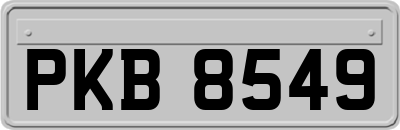 PKB8549