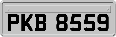 PKB8559