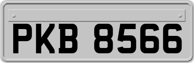 PKB8566