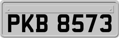 PKB8573