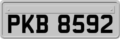 PKB8592