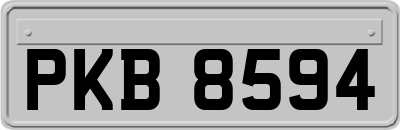 PKB8594