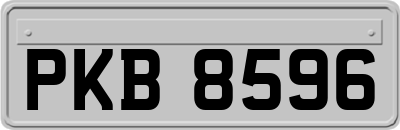 PKB8596