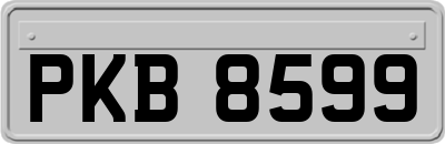 PKB8599
