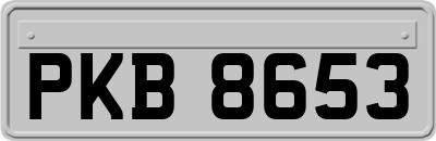 PKB8653