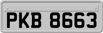 PKB8663