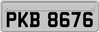 PKB8676