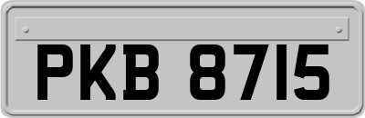 PKB8715