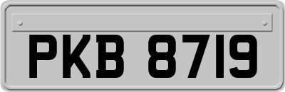 PKB8719