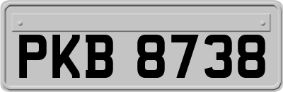 PKB8738