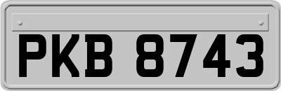 PKB8743