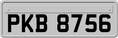PKB8756