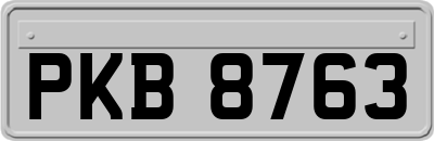 PKB8763
