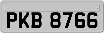 PKB8766