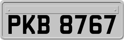 PKB8767