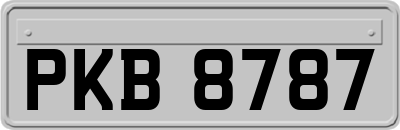 PKB8787