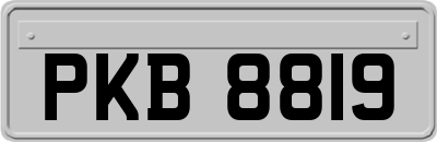 PKB8819