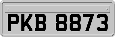 PKB8873