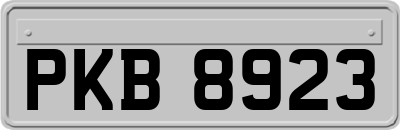 PKB8923