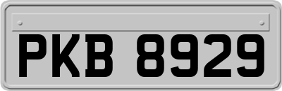 PKB8929