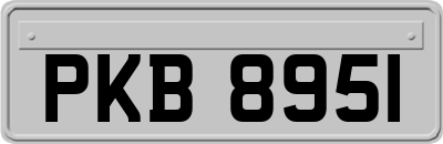 PKB8951