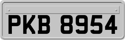 PKB8954