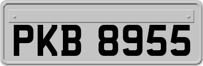 PKB8955