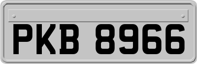 PKB8966