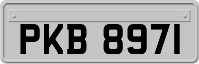 PKB8971