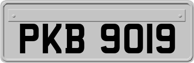 PKB9019
