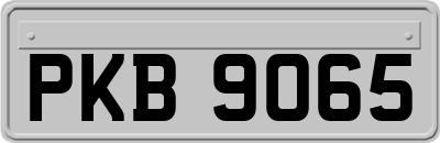 PKB9065