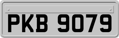 PKB9079