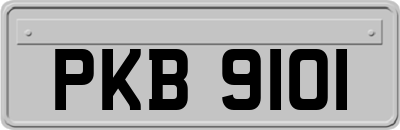 PKB9101